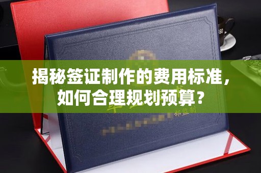 灵石揭秘签证制作的费用标准，如何合理规划预算？