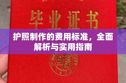 灵石护照制作的费用标准，全面解析与实用指南