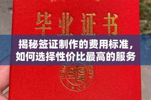 灵石揭秘签证制作的费用标准，如何选择性价比最高的服务？