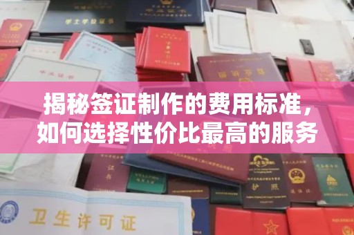 灵石揭秘签证制作的费用标准，如何选择性价比最高的服务？