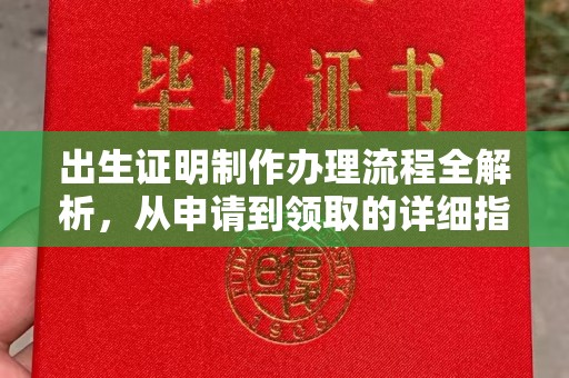 灵石出生证明制作办理流程全解析，从申请到领取的详细指南