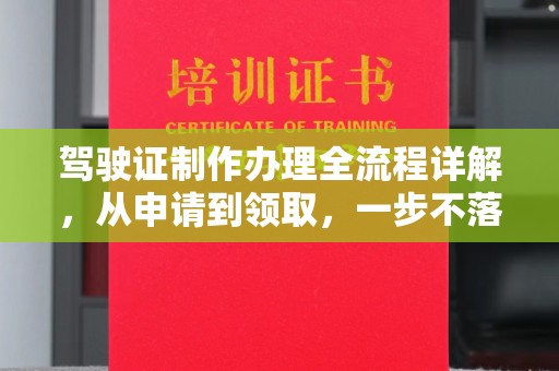 灵石驾驶证制作办理全流程详解，从申请到领取，一步不落